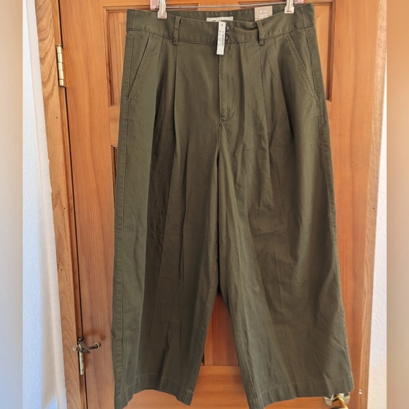 Madewell Pants - NWT Madewell Green Pleated Wide Leg pants 14